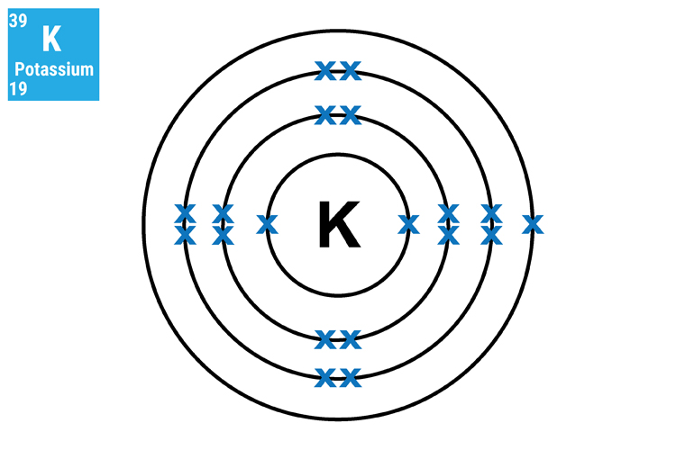 Potassium has 4 shells the inner, second and third shells are full and the outer contains 1 electron